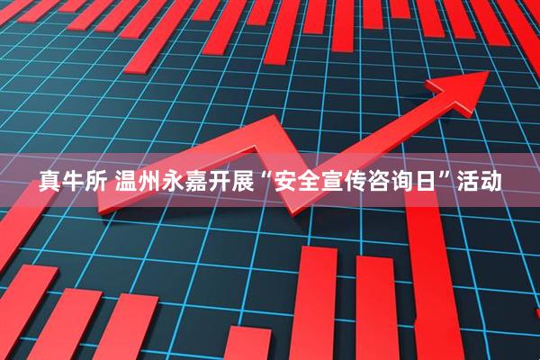 真牛所 温州永嘉开展“安全宣传咨询日”活动