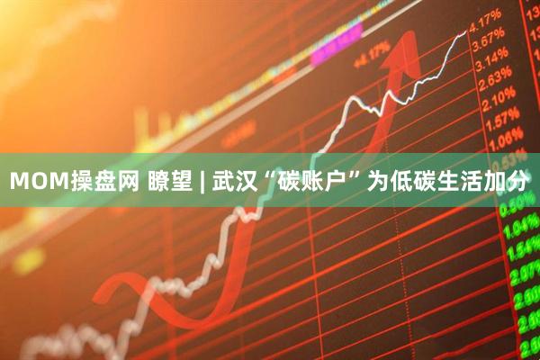 MOM操盘网 瞭望 | 武汉“碳账户”为低碳生活加分