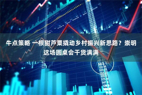 牛点策略 一根甜芦粟撬动乡村振兴新思路？崇明这场圆桌会干货满满
