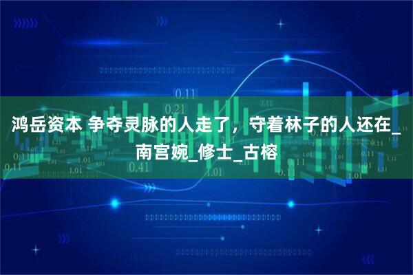 鸿岳资本 争夺灵脉的人走了，守着林子的人还在_南宫婉_修士_古榕